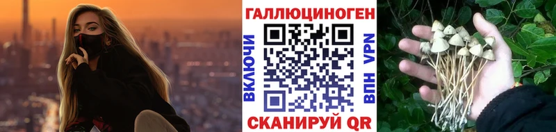 Купить где  Николаевск-на-Амуре  Псилоцибиновые грибы мухоморы 